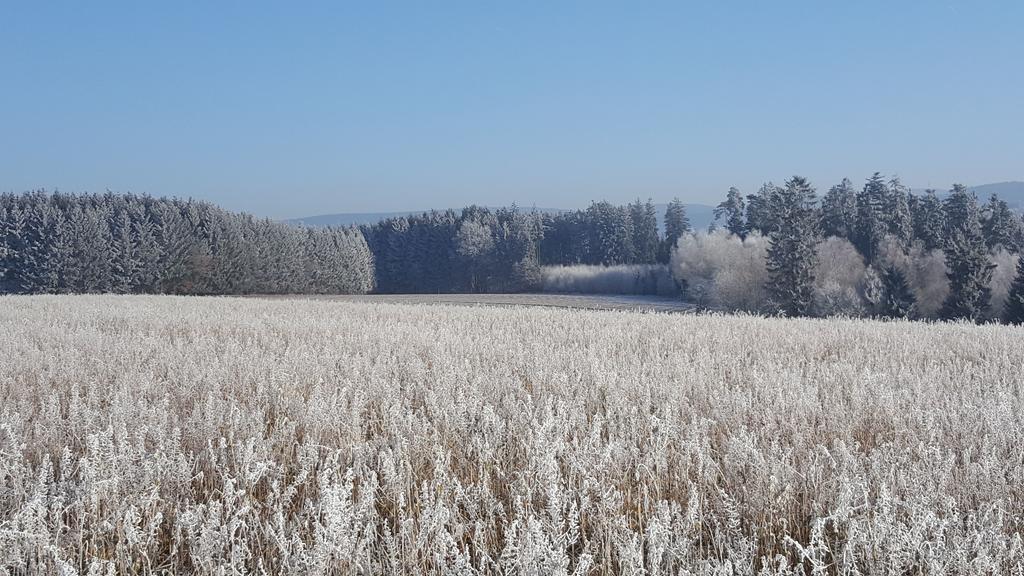 Hofer Bad Berneck im Fichtelgebirge